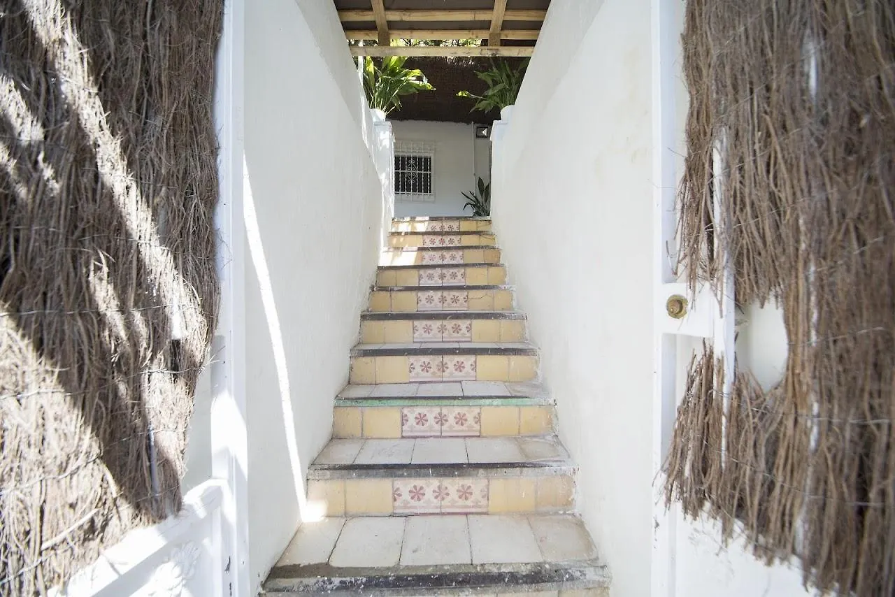 Barbieri Cave Bed & Breakfast Granada Spain